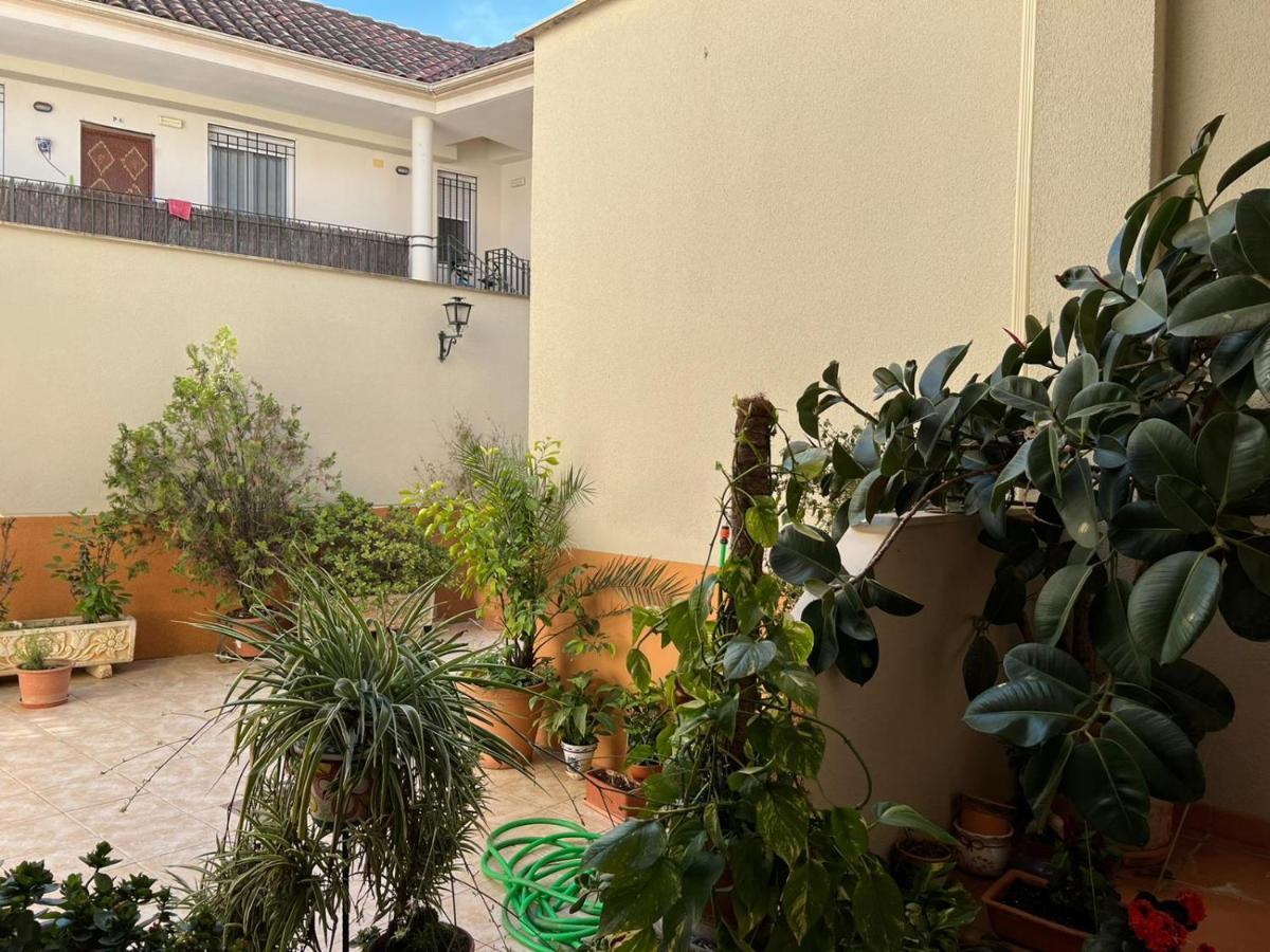 Apartamento Duplex El Tinte 科爾多瓦 外观 照片